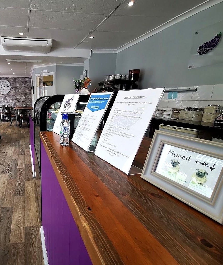 Inside Aubergine Café: a purple counter with a wooden top and menus standing on it, grey walls, wooden floor and tables towards the back